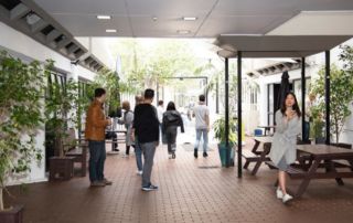 Courtyard with students
